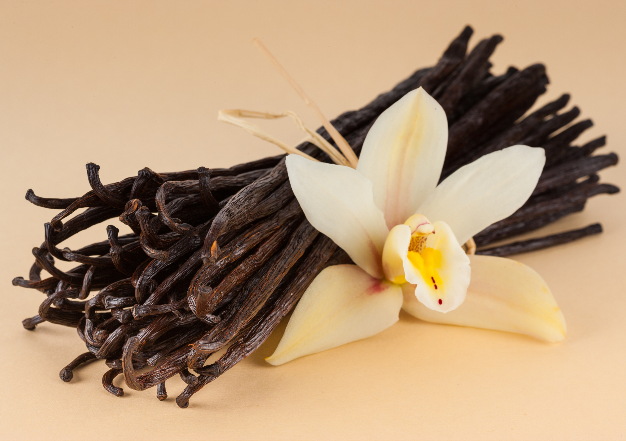 Nærbilde av vaniljestenger med vaniljeblomster, på lyst underlag, som fremhever duftens varme og søte aroma.