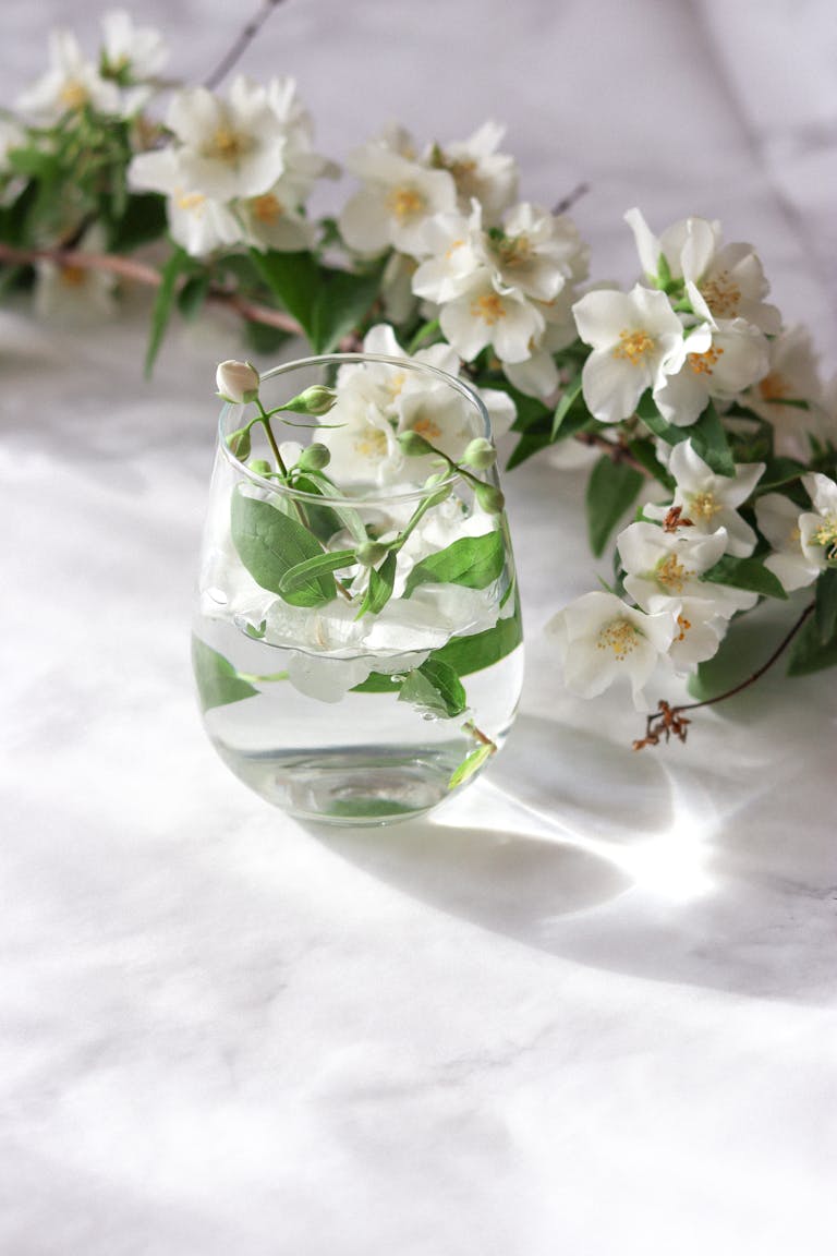 Elegant white jasmine flowers in a glass vase on a marble surface, illuminated by soft daylight.